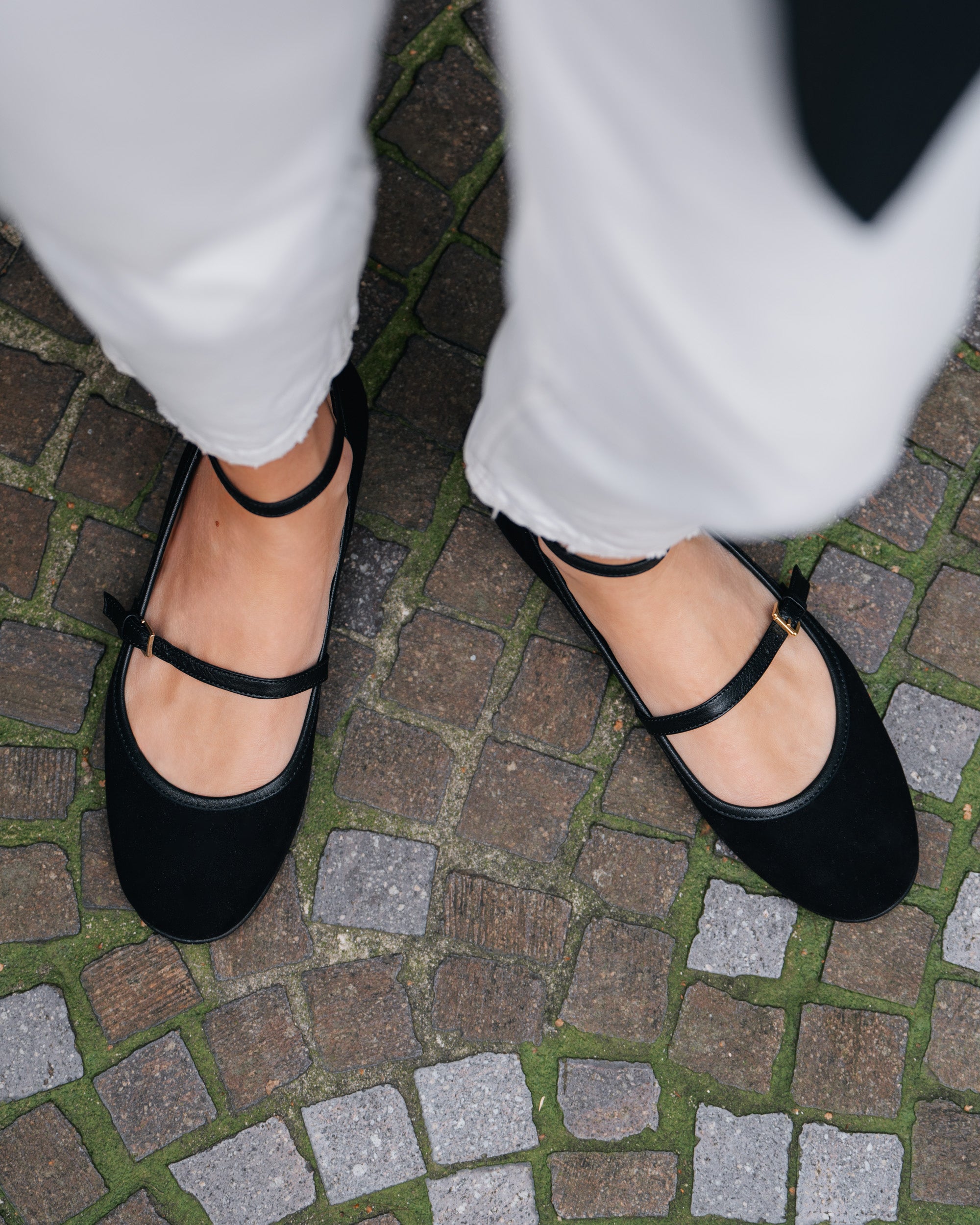 Premium Women's Ballroom & Standard Dance Shoes For DanceSport In Australia & New Zealand - Foto 7